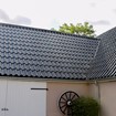 IMG_4410.jpg