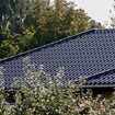 IMG_8623.jpg