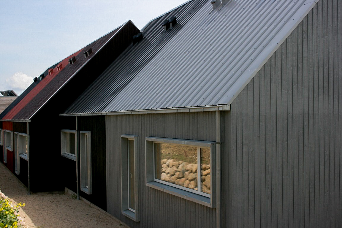 IMG_5421 (Medium).jpg