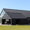 IMG_3704.jpg