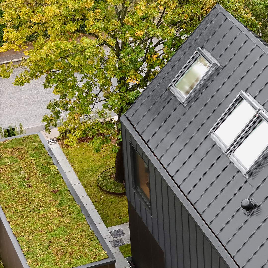 Areco Profiles-Simon Bullinger_6.jpg